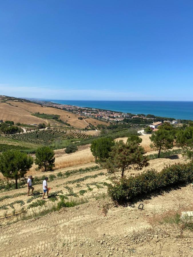 Casale Adriatico B&B Pineto Exterior photo